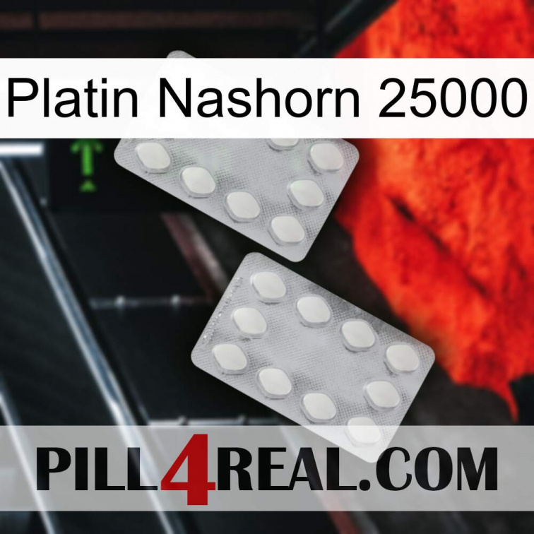 Platinum Rhino 25000 17